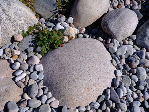 DSCF5133.jpg