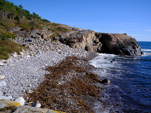 DSCF5134.jpg