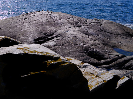 DSCF5135.jpg