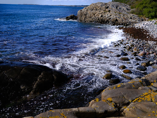 DSCF5136.jpg