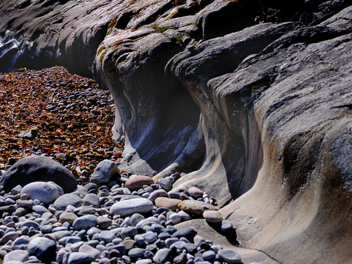 DSCF5138.jpg