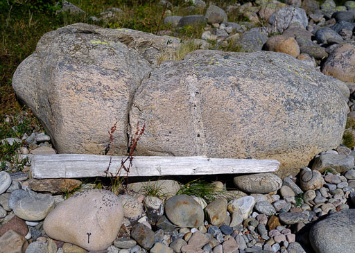DSCF5139.jpg