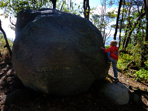 DSCF5149.jpg