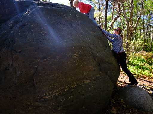 DSCF5151.jpg