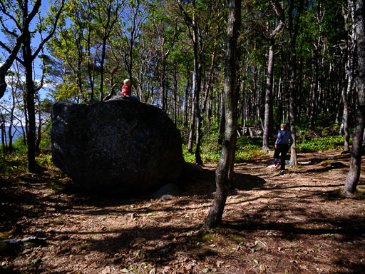 DSCF5154.jpg