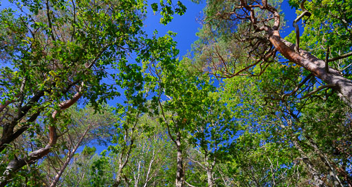 DSCF5156.jpg