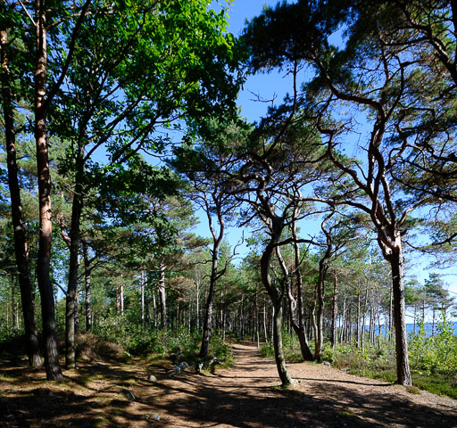 DSCF5161.jpg