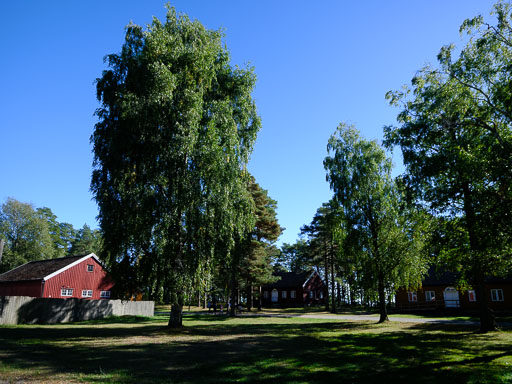 DSCF5164.jpg