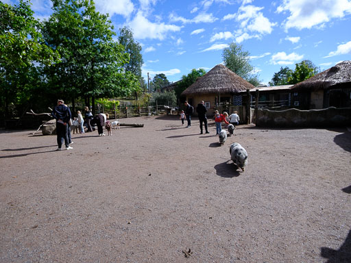 DSCF5036.jpg