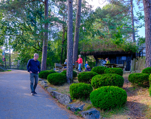 DSCF5079.jpg