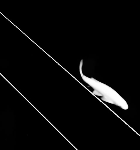 _DSF4647.jpg
