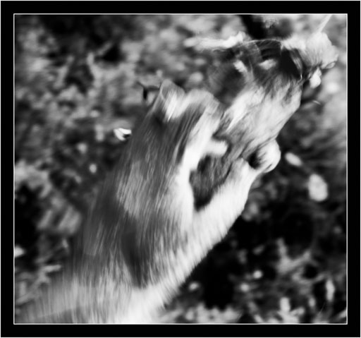 untitled-4735.jpg