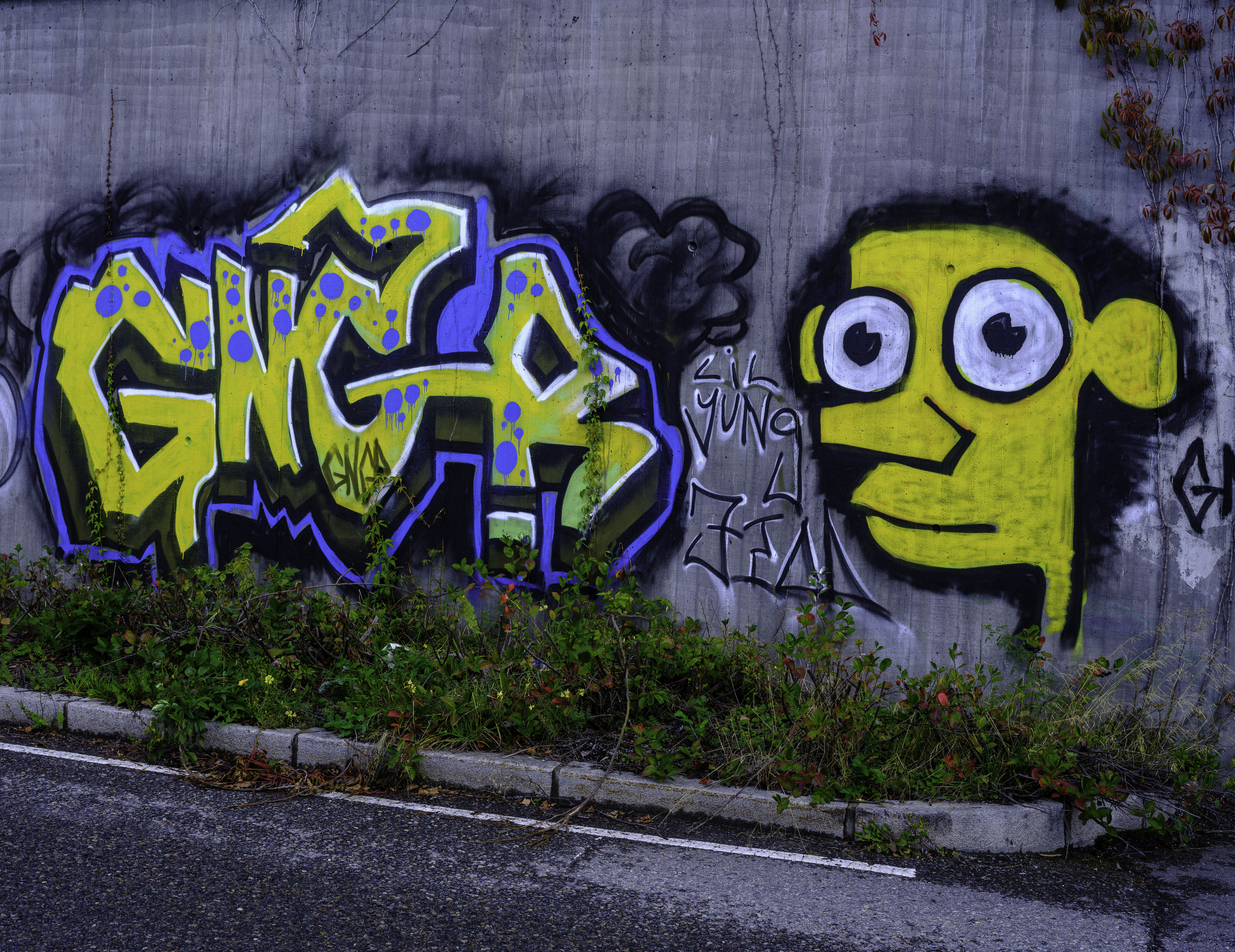 IMG "alt" Attribute