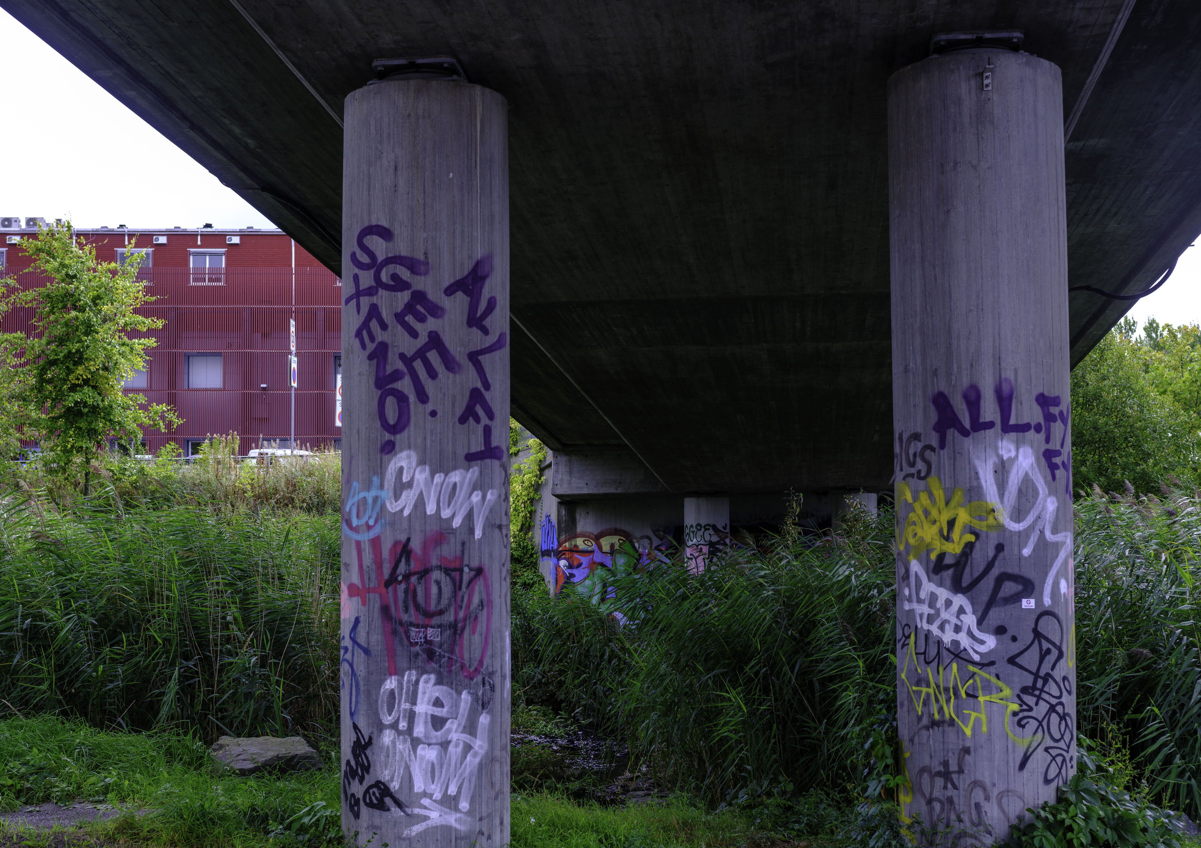 IMG "alt" Attribute