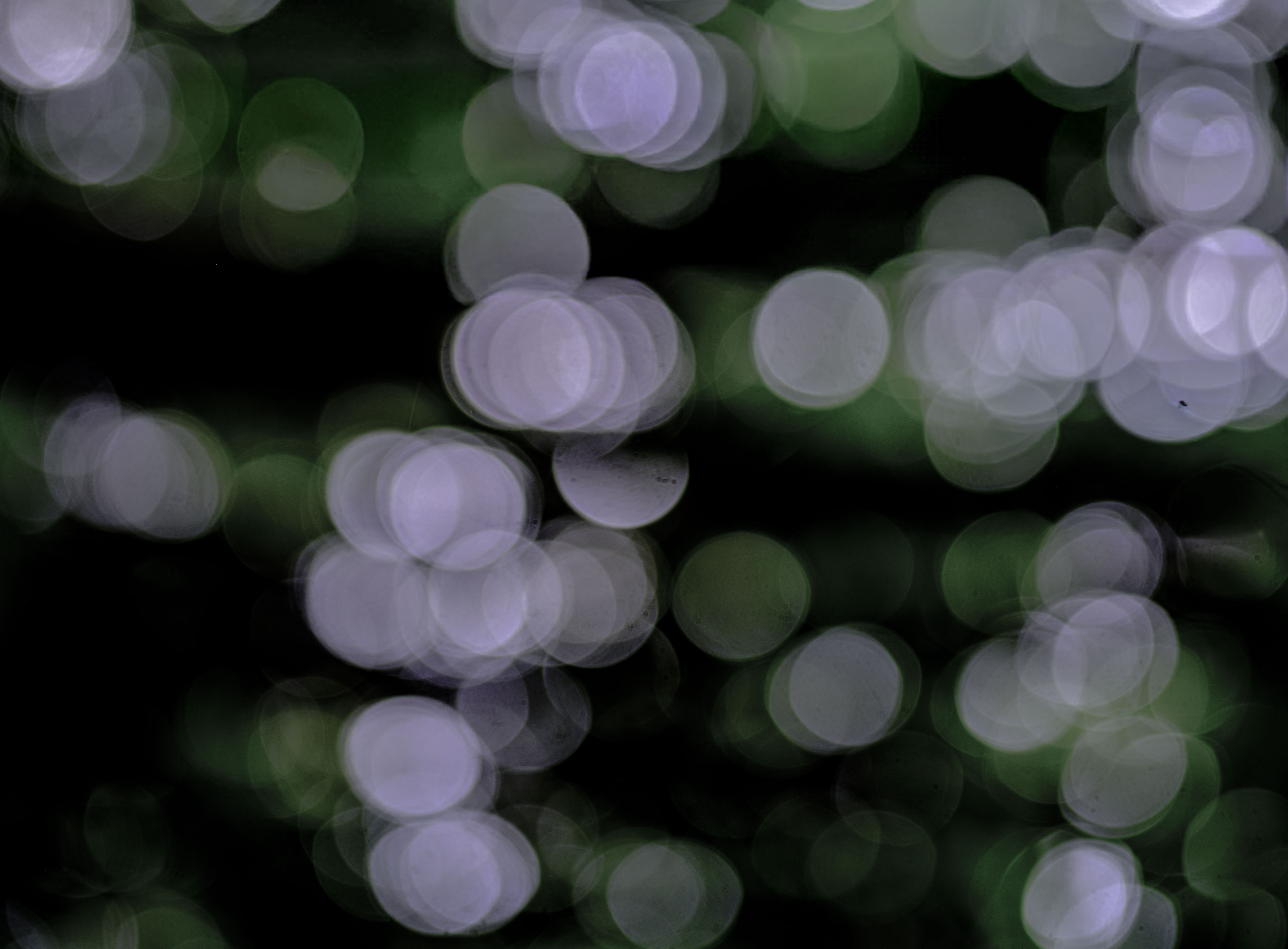 IMG "alt" Attribute