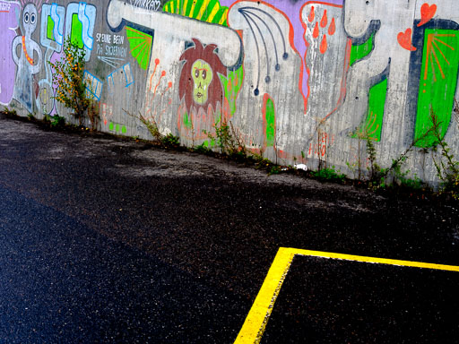 _DSF5280.jpg