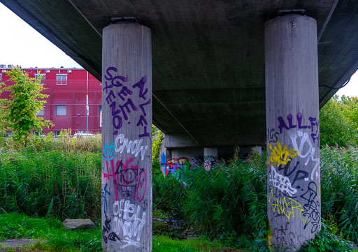 _DSF5293.jpg