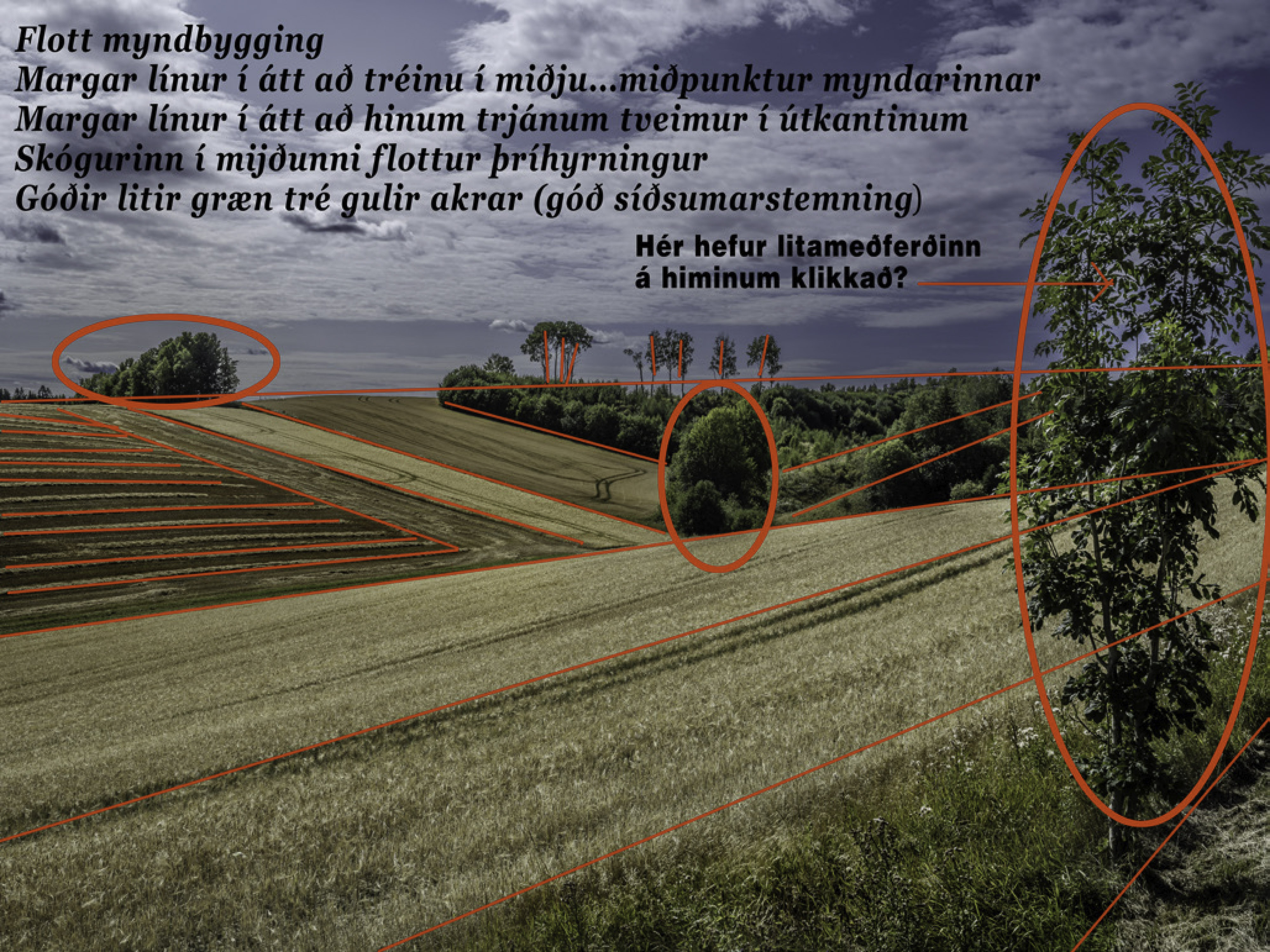 IMG "alt" Attribute