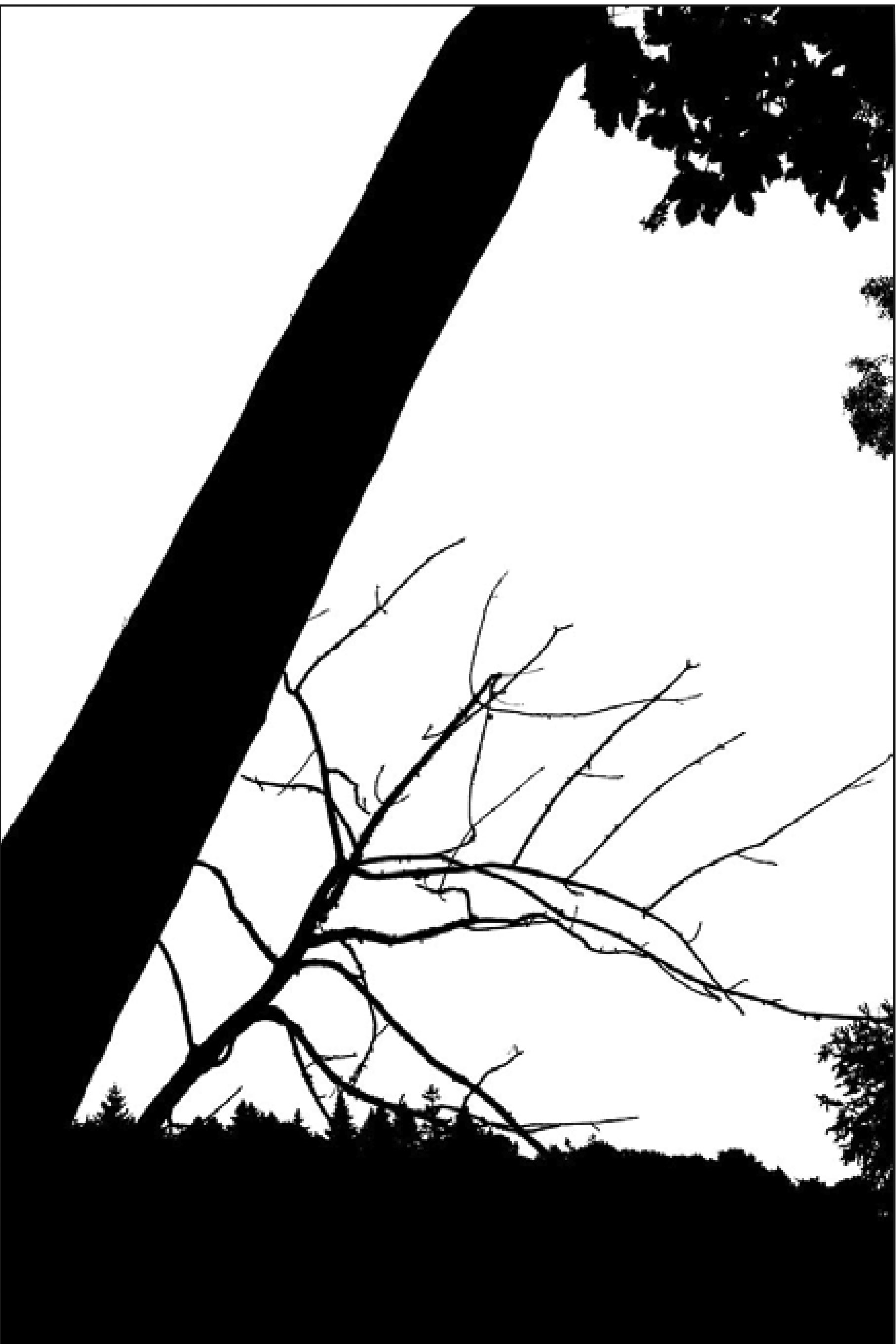 IMG "alt" Attribute