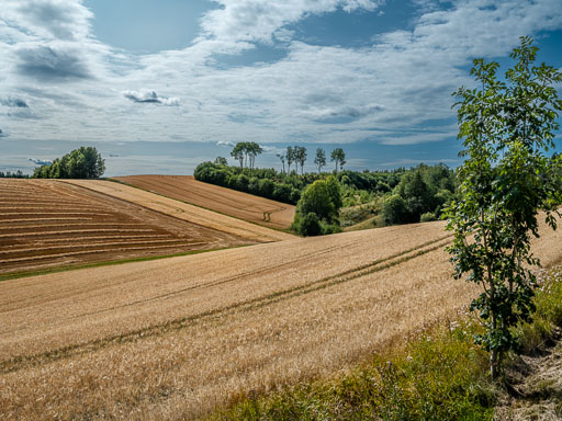 20260820Kristinn.jpg