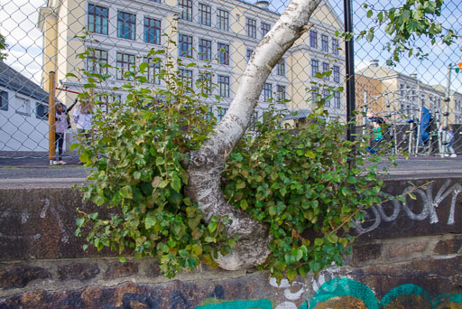 September 2018
 Hero