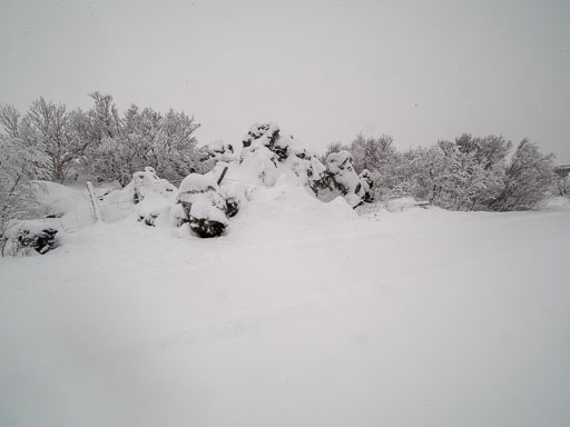 16. Janúar 2026
 Hero