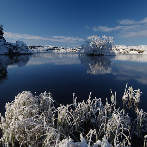 1. Febrúar 2026
 Hero