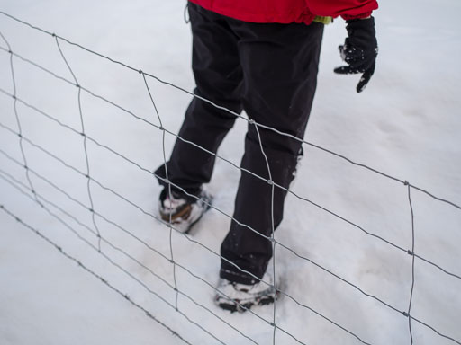 8. Febrúar 2026
 Hero