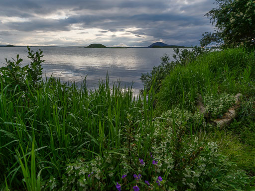 20230701photos!07012023photos!IMG_0150-HDR.jpg