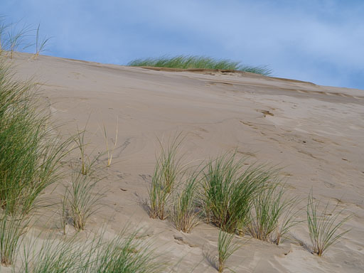 22. Október 2024
 Hero