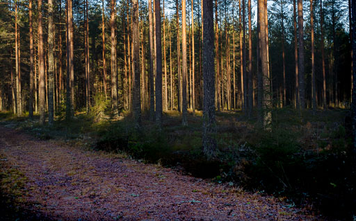 3. Desember 2024
 Hero