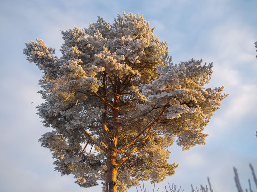 12. Desember 2024
 Hero