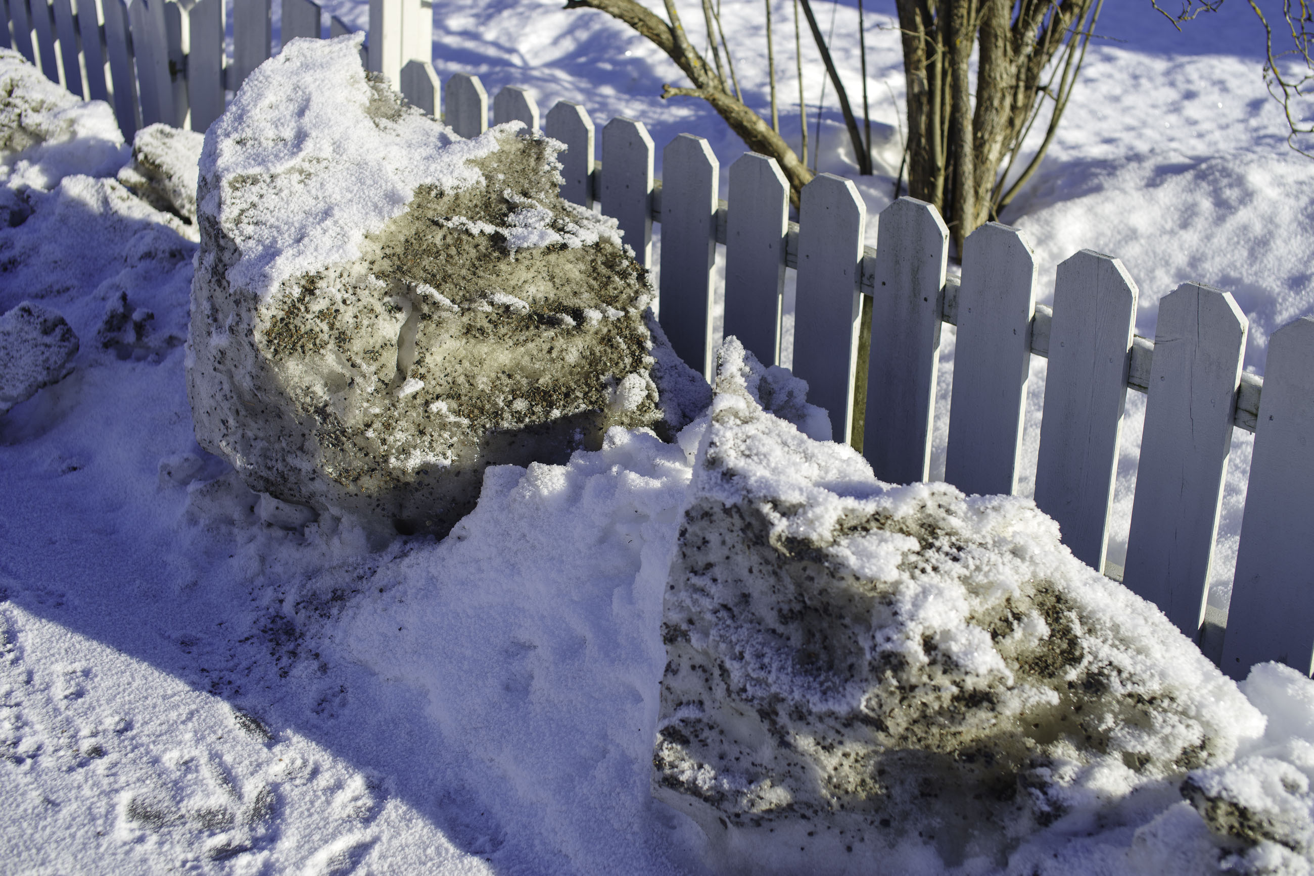 20250211---12;44;00-Bw-K1__2825_.jpg 20250211---12;44;00-Bw-K1__2825_.jpg