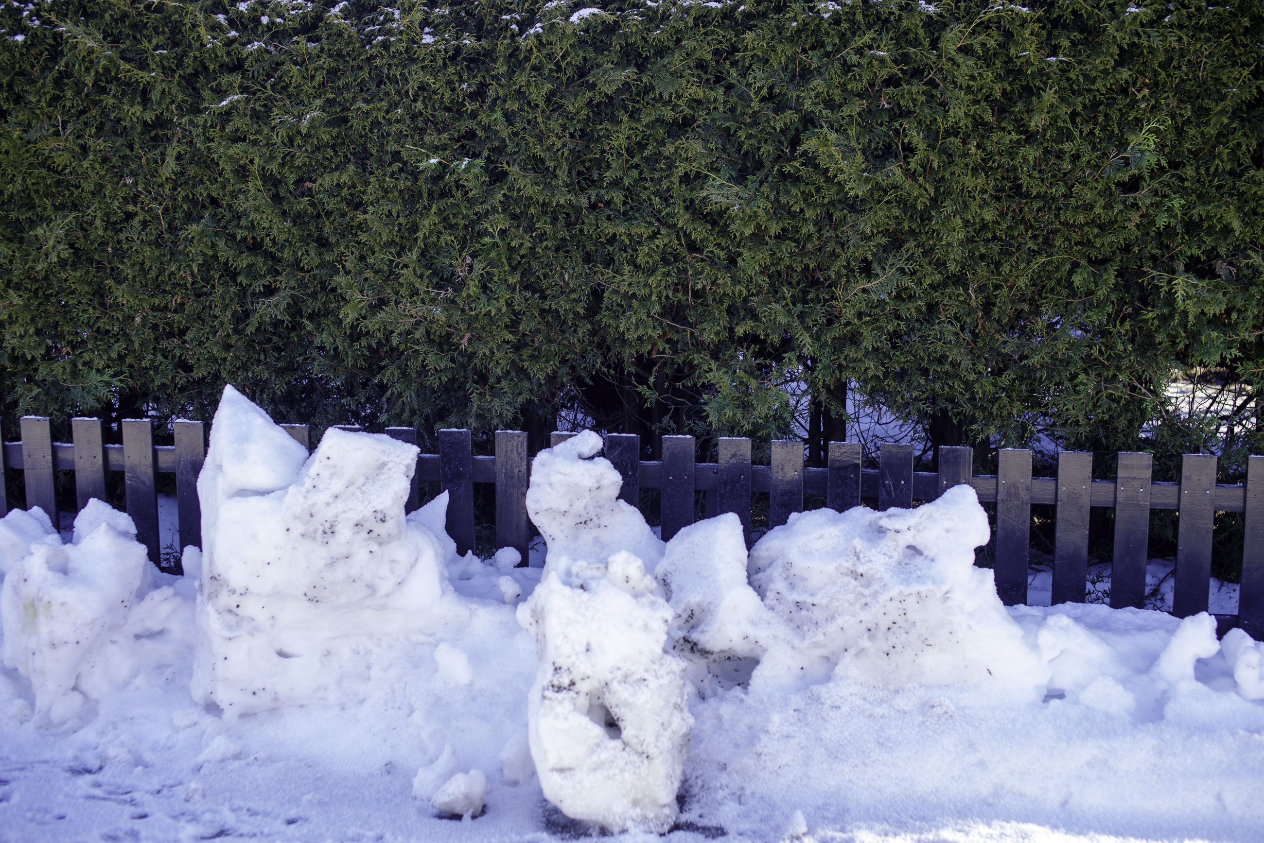 20250211---12;44;24-Bw-K1__2827_.jpg 20250211---12;44;24-Bw-K1__2827_.jpg