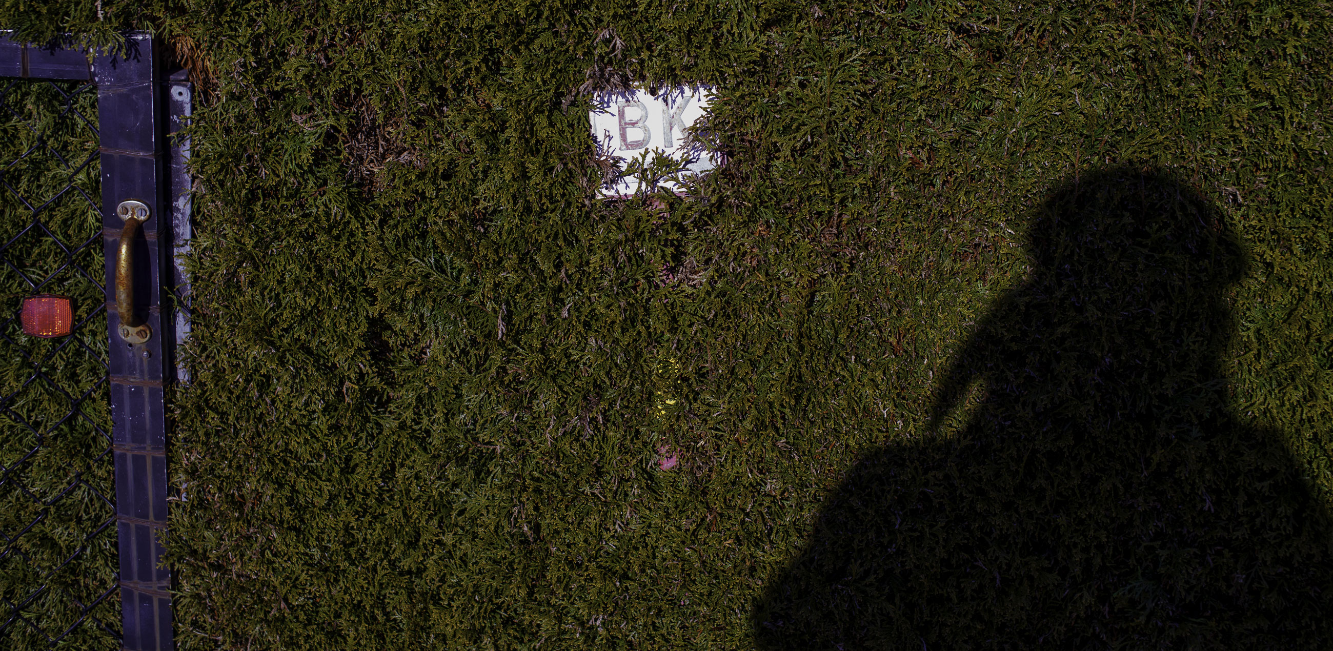 20250211---12;44;48-Bw-K1__2828_.jpg 20250211---12;44;48-Bw-K1__2828_.jpg