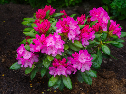 17 Júní 2025
 Hero