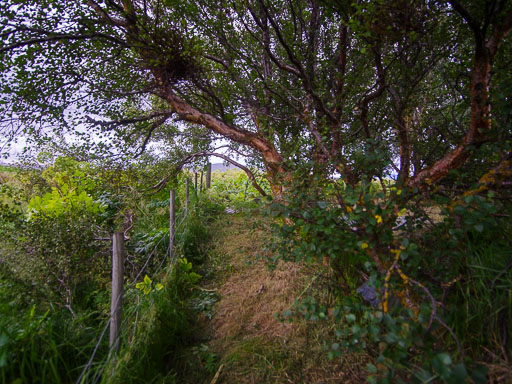 6. Ágúst 2025
 Hero