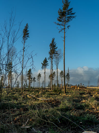 28. November 2025. Nýar slóðir nálægt Klöfta
 Hero