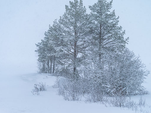 Geiteyjarströnd 4B 