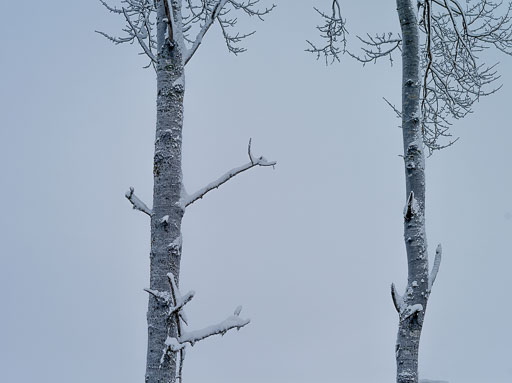 Geiteyjarströnd 4B 