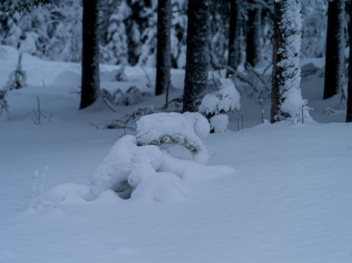 Geiteyjarströnd 4B 