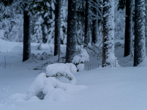 Geiteyjarströnd 4B 