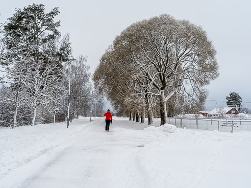 Geiteyjarströnd 4B 