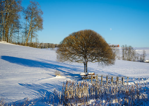 Geiteyjarströnd 4B 