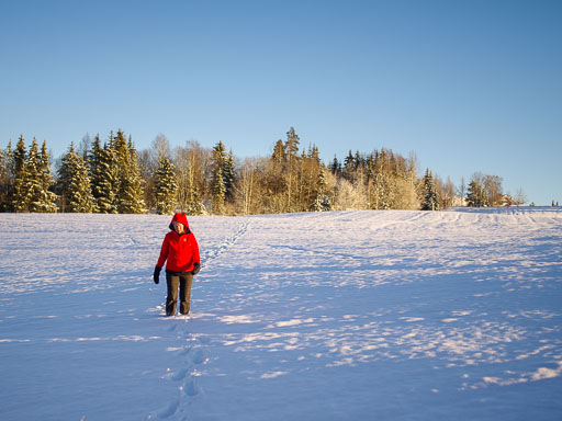 Geiteyjarströnd 4B 