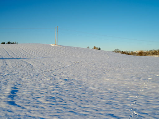 Geiteyjarströnd 4B 