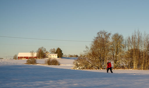 Geiteyjarströnd 4B 