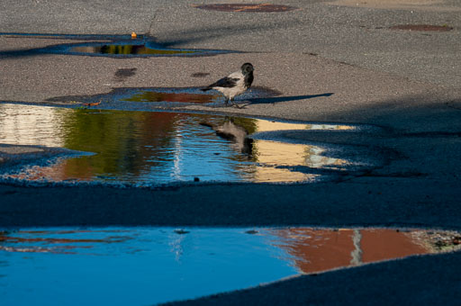 September 2012
 Hero