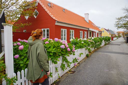 21. Oktober 2024
 Hero