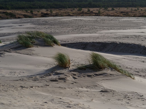 22. Október 2024
 Hero